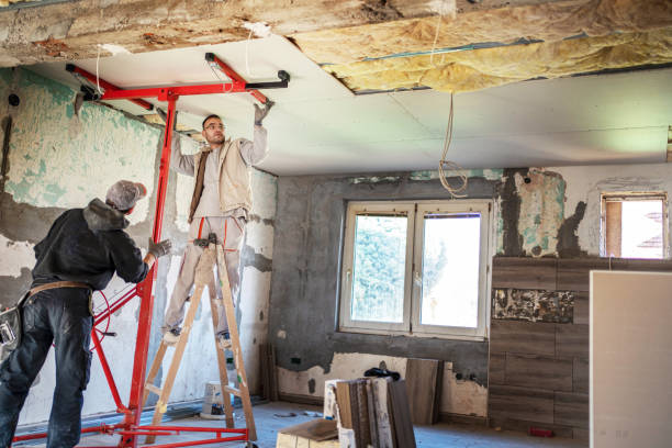 Best Commercial Insulation in Springfield, SD