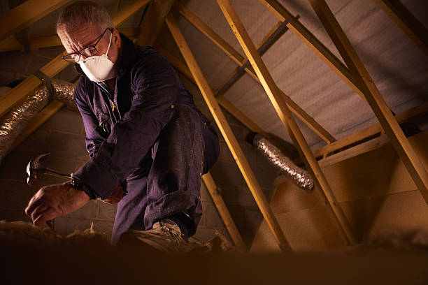 Best Insulation Installation Services in Springfield, SD