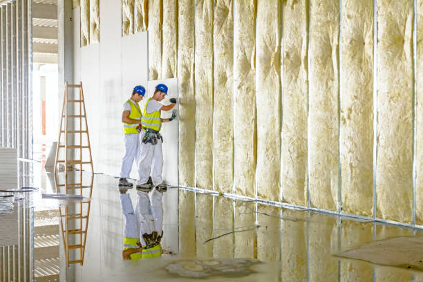 Best Residential Insulation in Springfield, SD